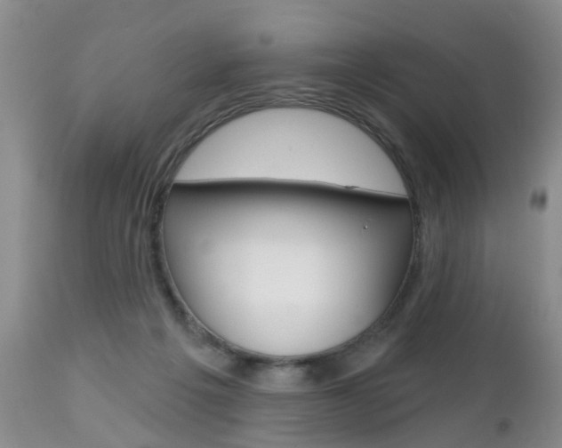 X0000112800217200908211010