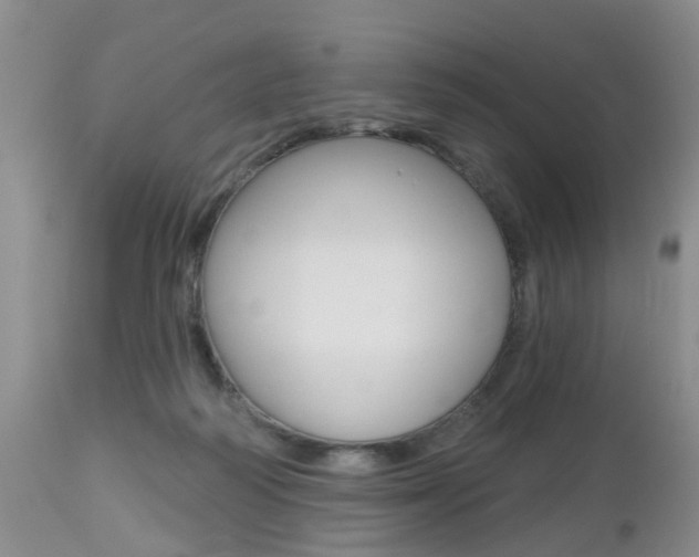 X0000112800218200908211010