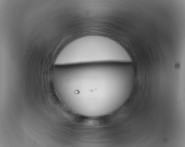 X0000112800220200908211010