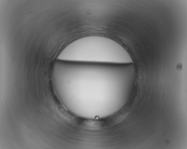 X0000112800221200908211010