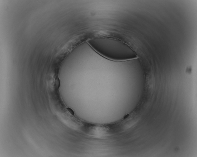 X0000112800223200908211010