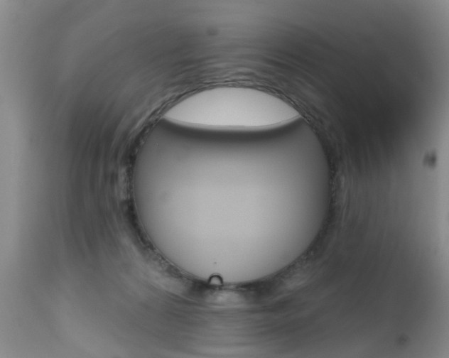 X0000112800224200908211010