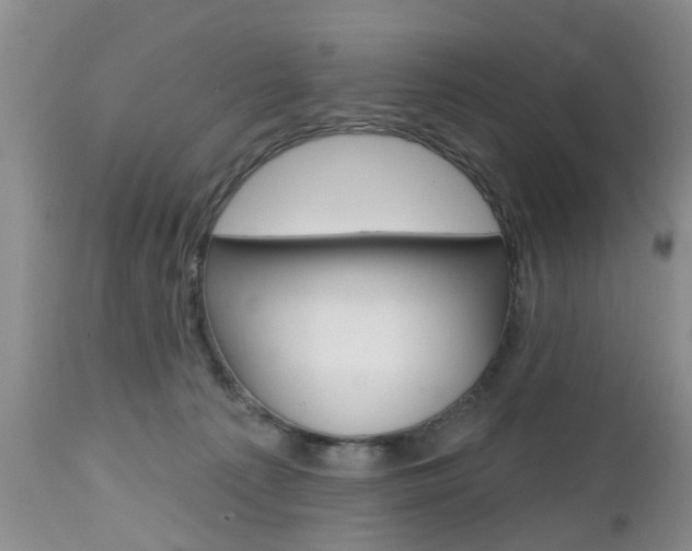 X0000112800225200908211010