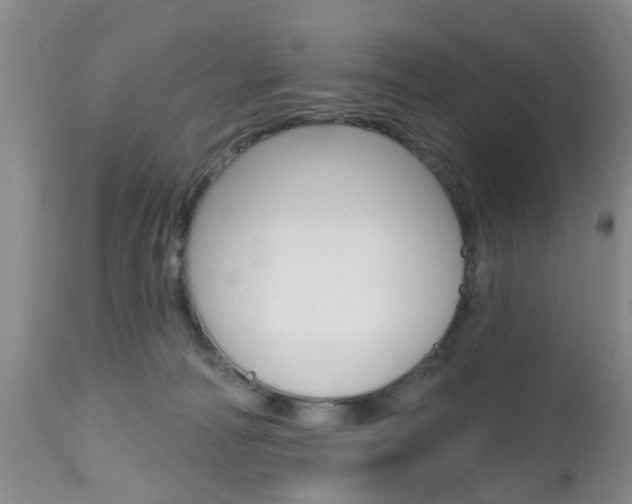 X0000112800226200908211010