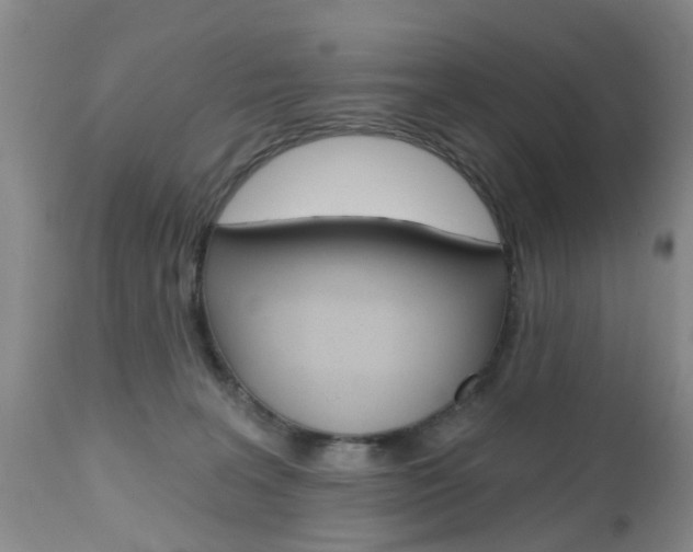 X0000112800227200908211010