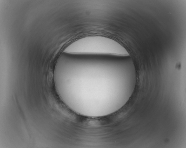 X0000112800228200908211010