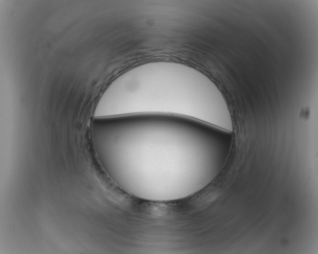 X0000112800229200908211010