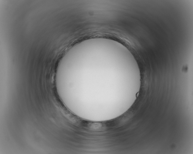 X0000112800230200908211010