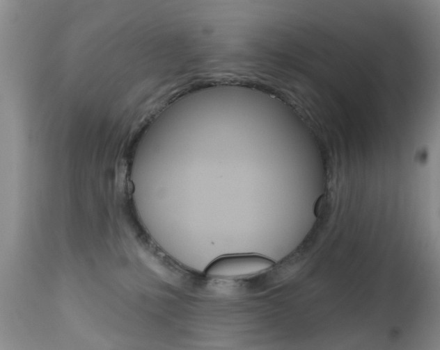 X0000112800231200908211010