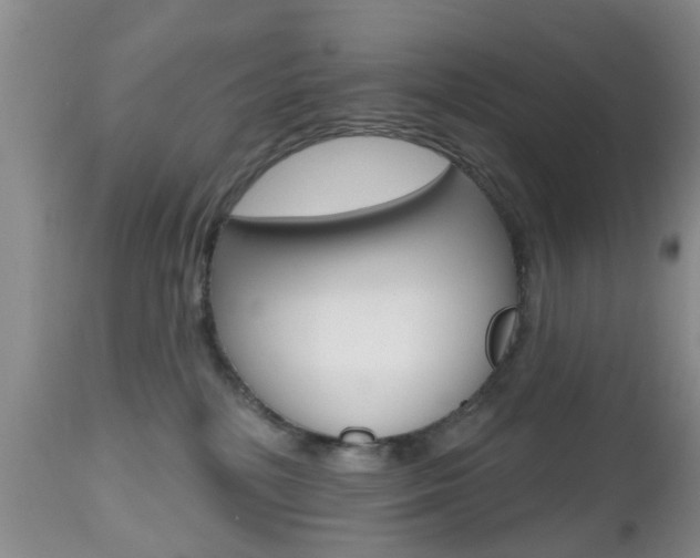 X0000112800232200908211010