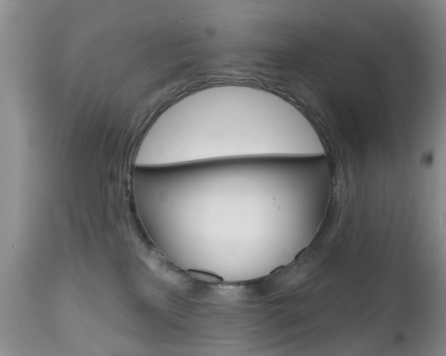X0000112800233200908211010