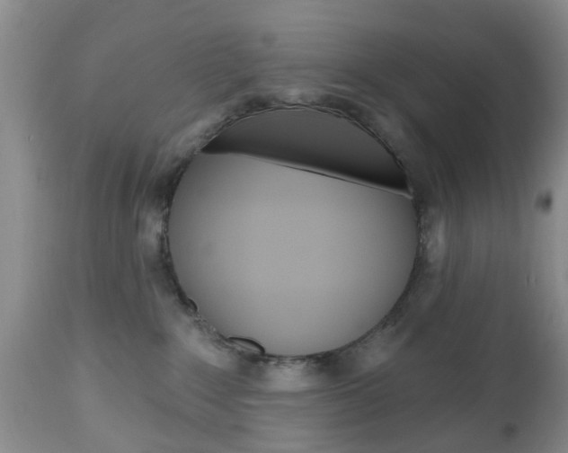 X0000112800235200908211010