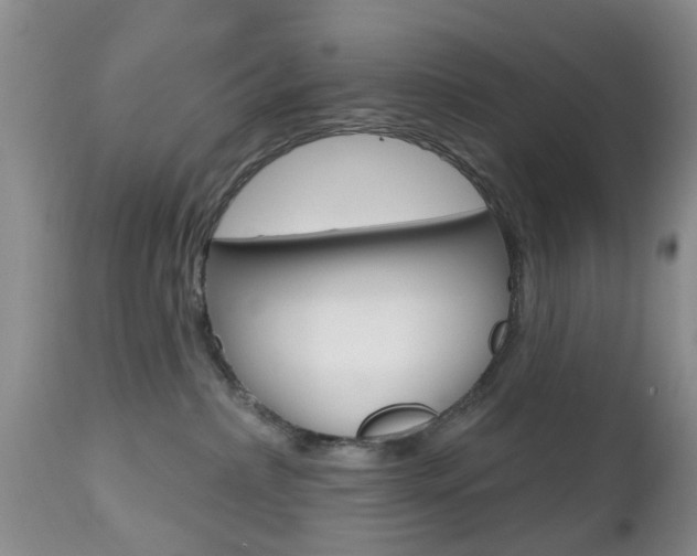 X0000112800236200908211010