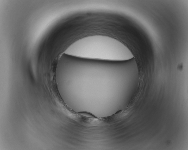 X0000112800239200908211010