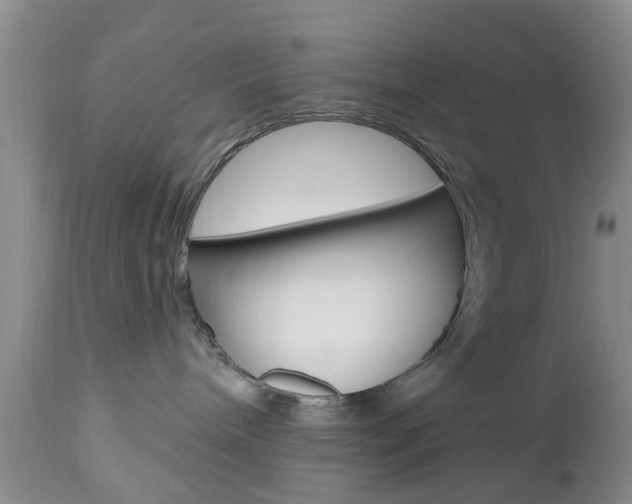 X0000112800240200908211010