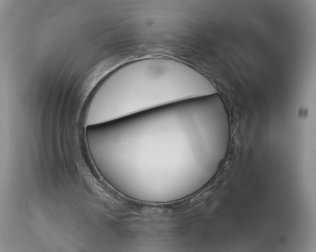 X0000112800242200908211009