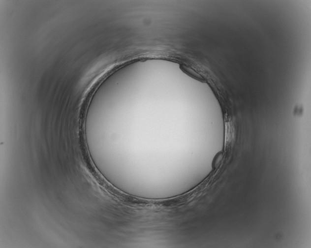 X0000112800243200908211009