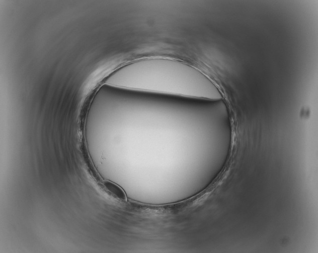 X0000112800245200908211009