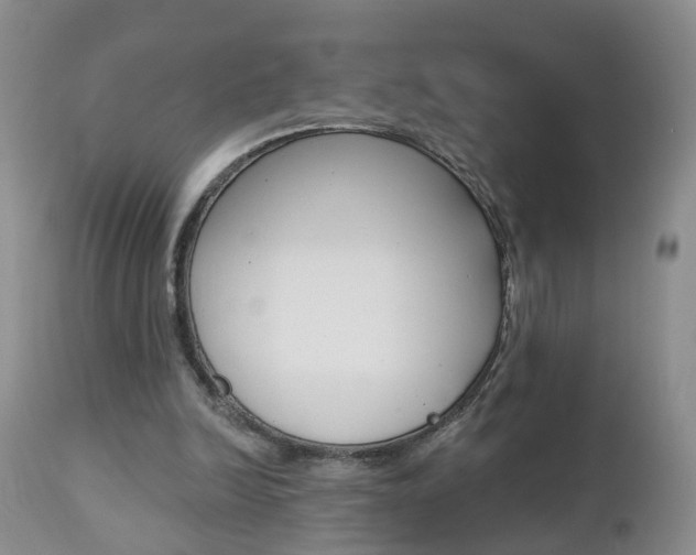 X0000112800246200908211009