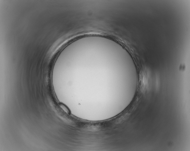 X0000112800247200908211009