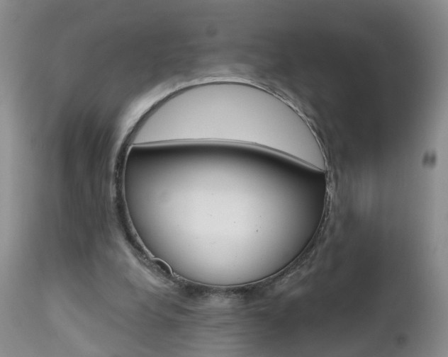 X0000112800248200908211009