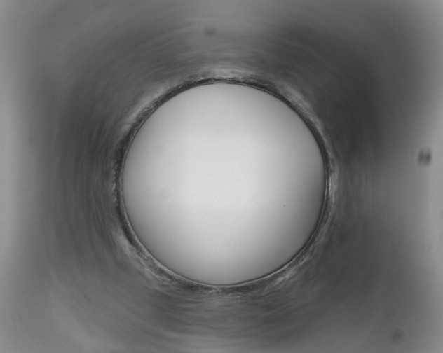 X0000112800249200908211009