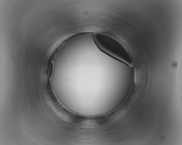 X0000112800252200908211009