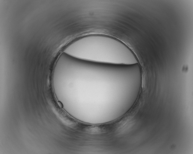 X0000112800253200908211009