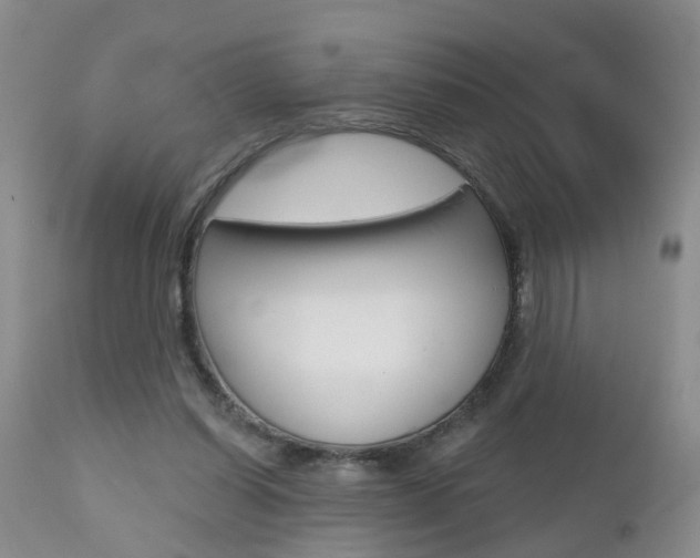 X0000112800254200908211009