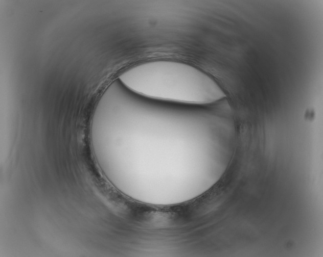 X0000112800255200908211009
