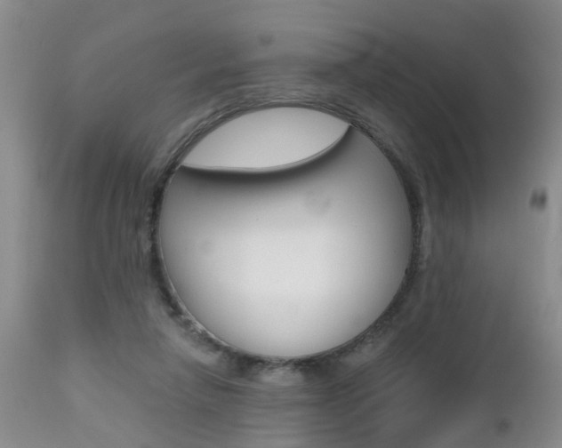 X0000112800258200908211009