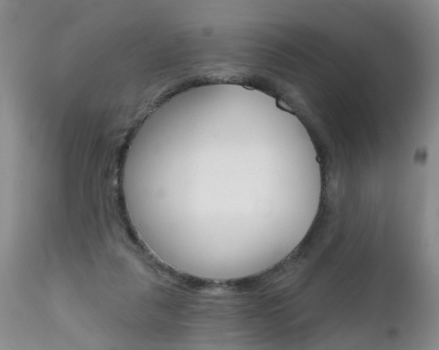 X0000112800259200908211009