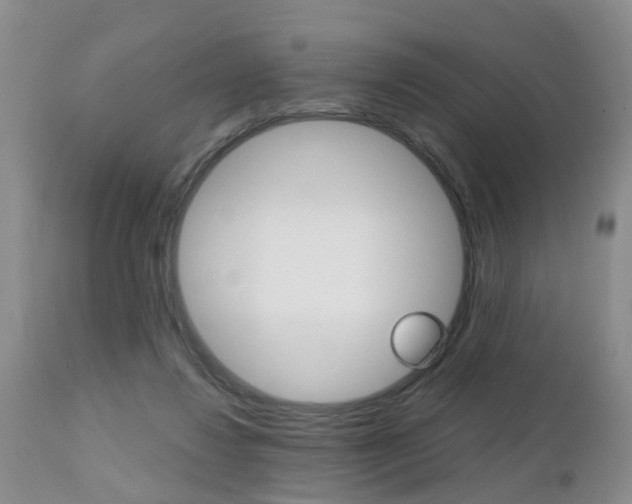 X0000112800260200908211009