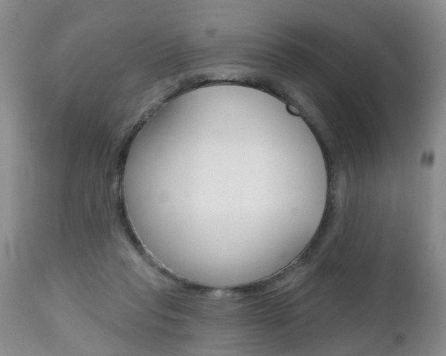 X0000112800261200908211010