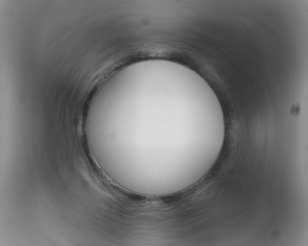 X0000112800262200908211010
