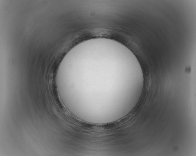 X0000112800263200908211010