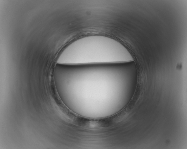 X0000112800264200908211010