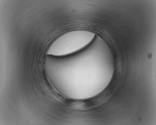 X0000112800266200908211010