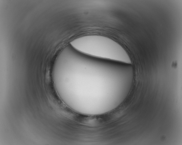 X0000112800267200908211010