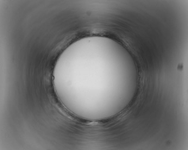 X0000112800269200908211010