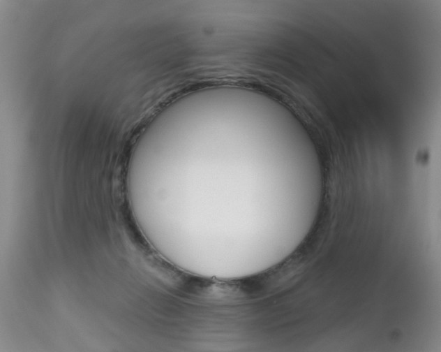 X0000112800270200908211010