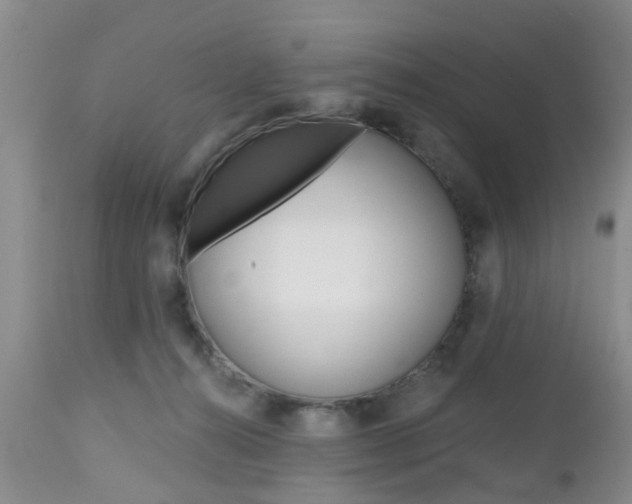 X0000112800272200908211010