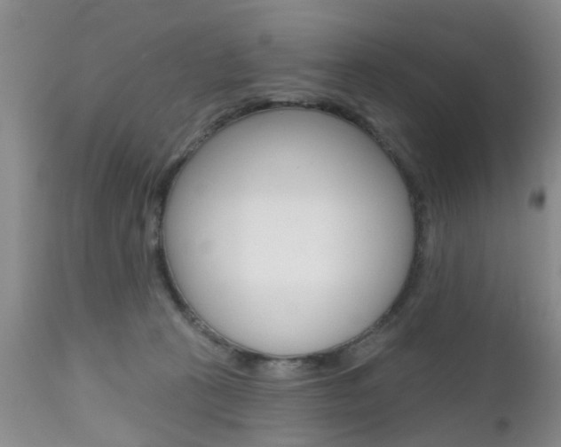 X0000112800273200908211010