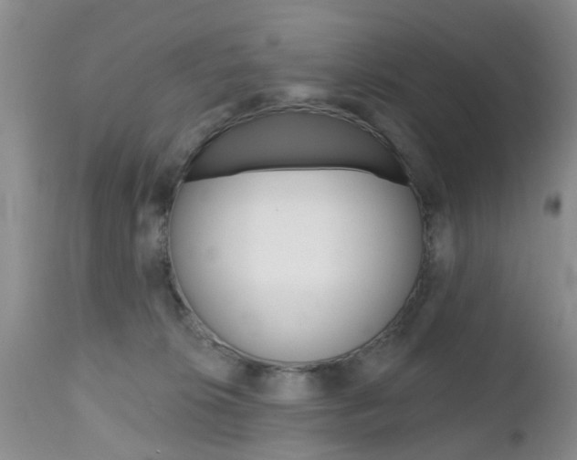 X0000112800276200908211010