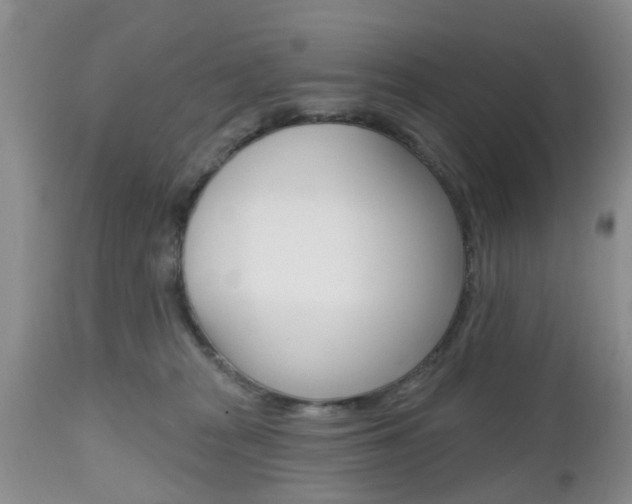 X0000112800277200908211010