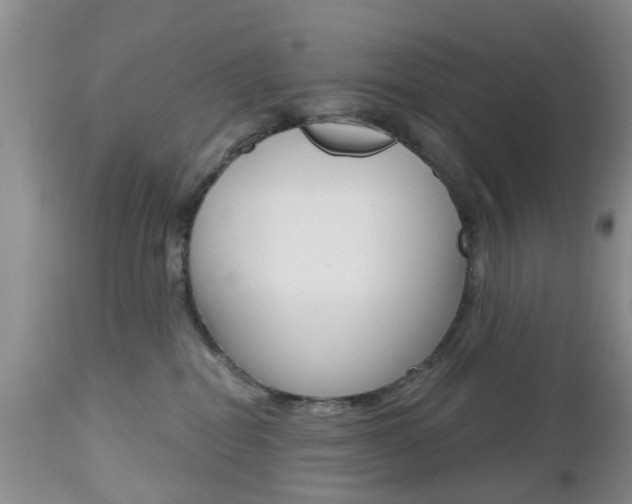 X0000112800282200908211010