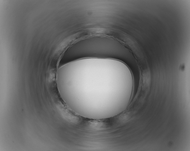 X0000112800284200908211010