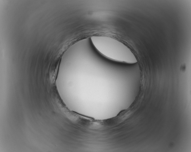 X0000112800285200908211010
