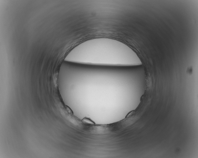X0000112800286200908211010