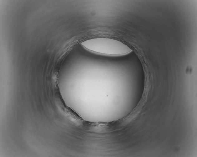 X0000112800288200908211010